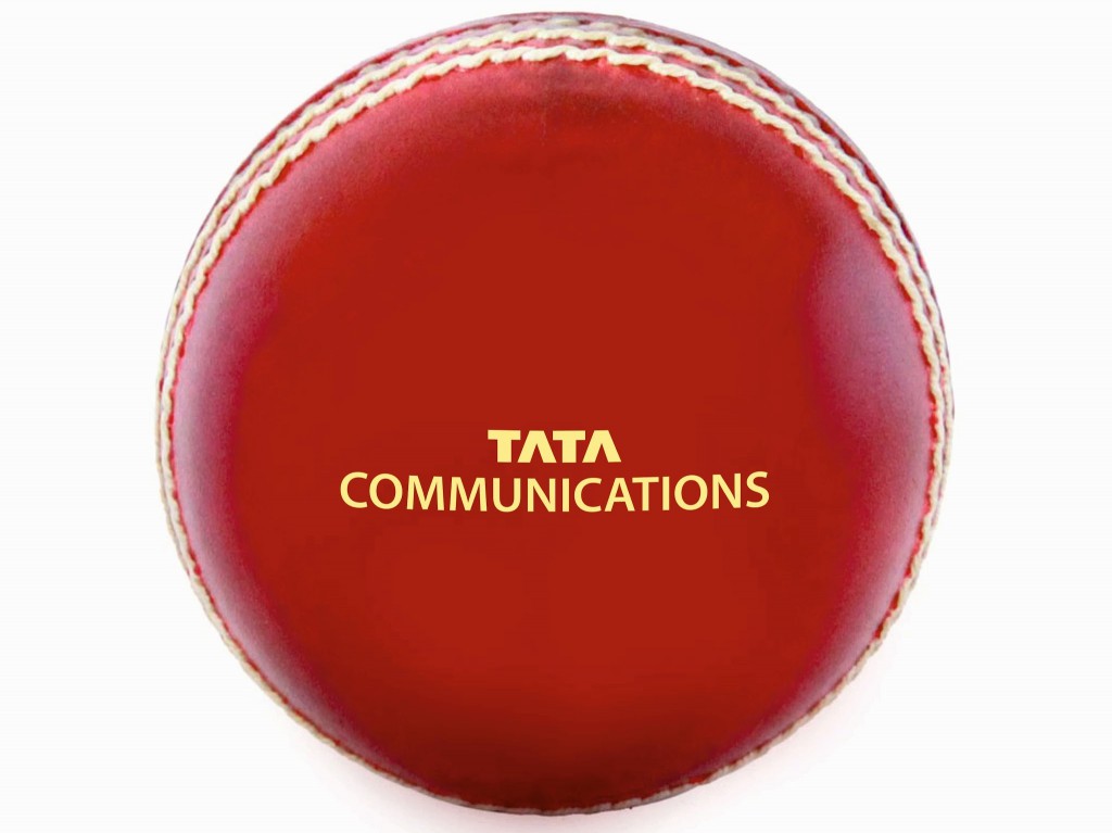 Cricket Ball (2)