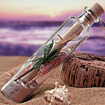 Message Glass Bottle with Cork4