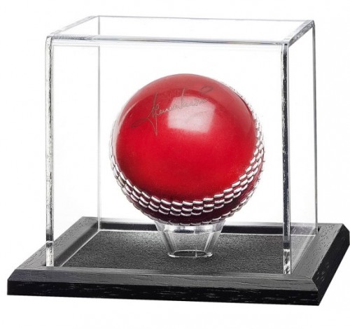 Promotional Cricket Ball With Acrylic Box